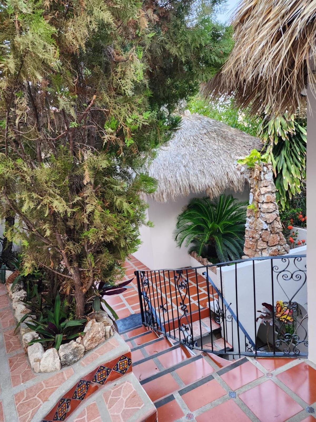 Hotel Esencia Puerto Escondido Puerto Escondido  Zewnętrze zdjęcie